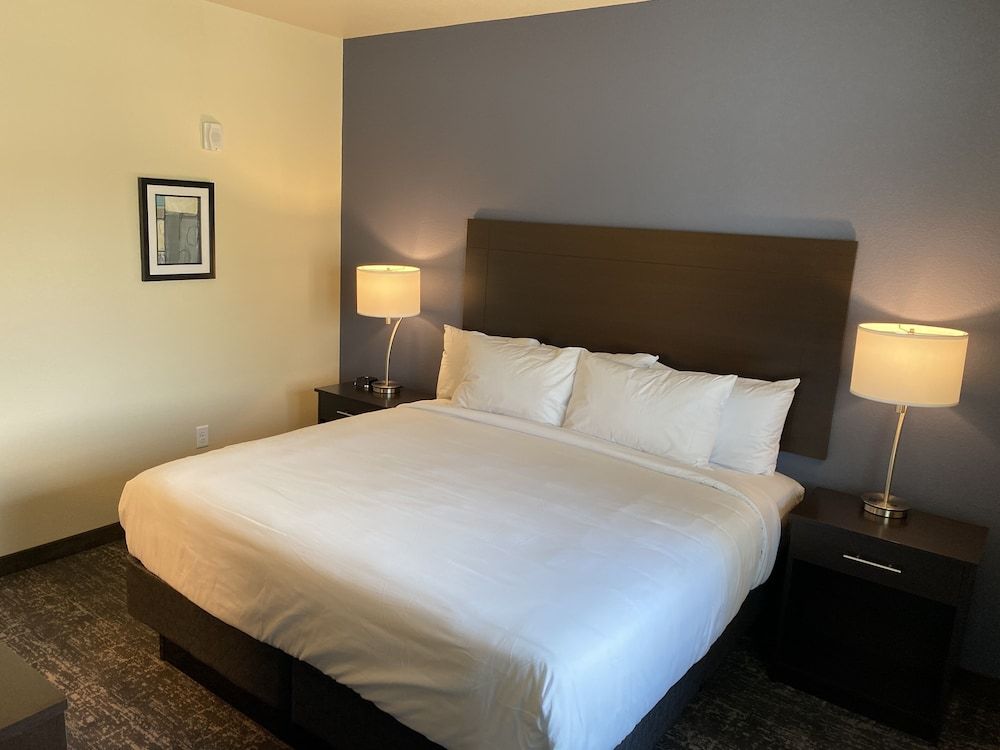 Cobblestone Inn & Suites - Forest City Single King Guestroom, Accessible Shower, Non-Smoking 3