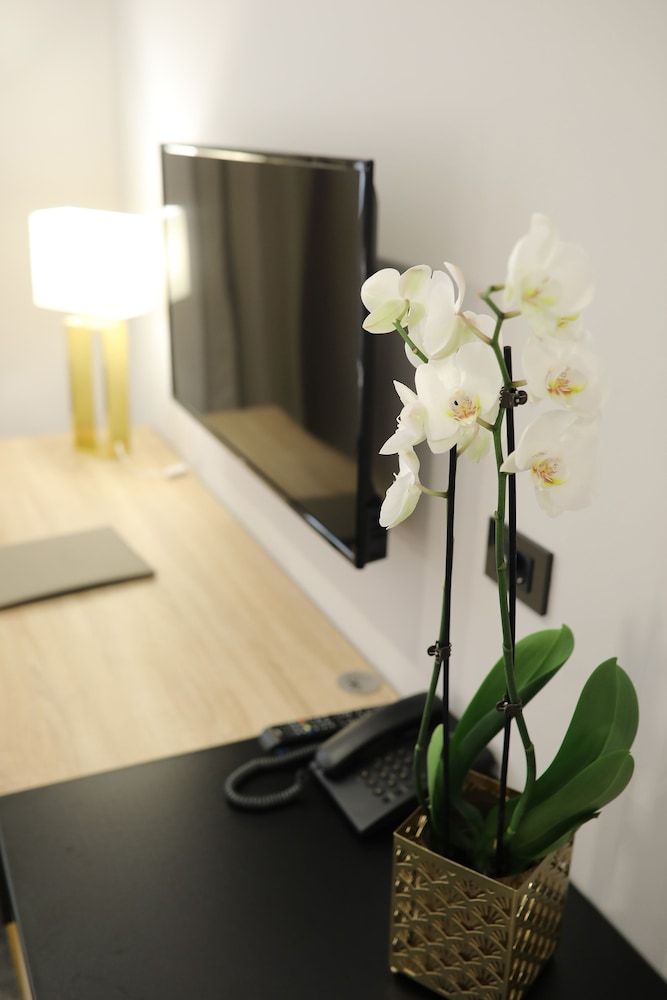 Teatro Verdi Hotel Superior Double Room 7