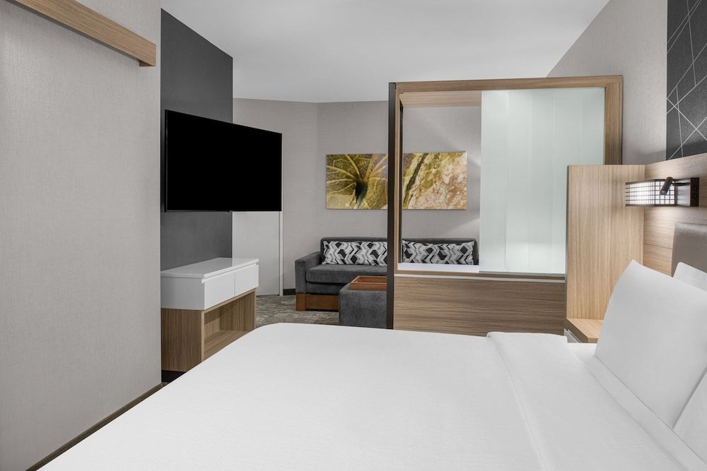 Suite, 1 King Bed (Mobility Accessible, Tub)