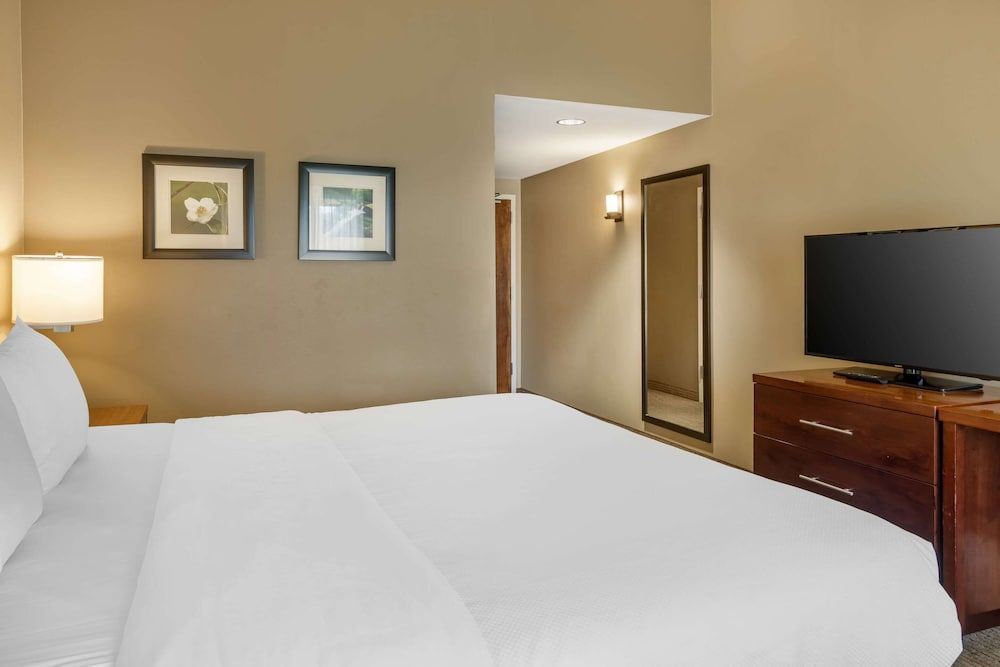 Room, 1 King Bed, Accessible, Non Smoking