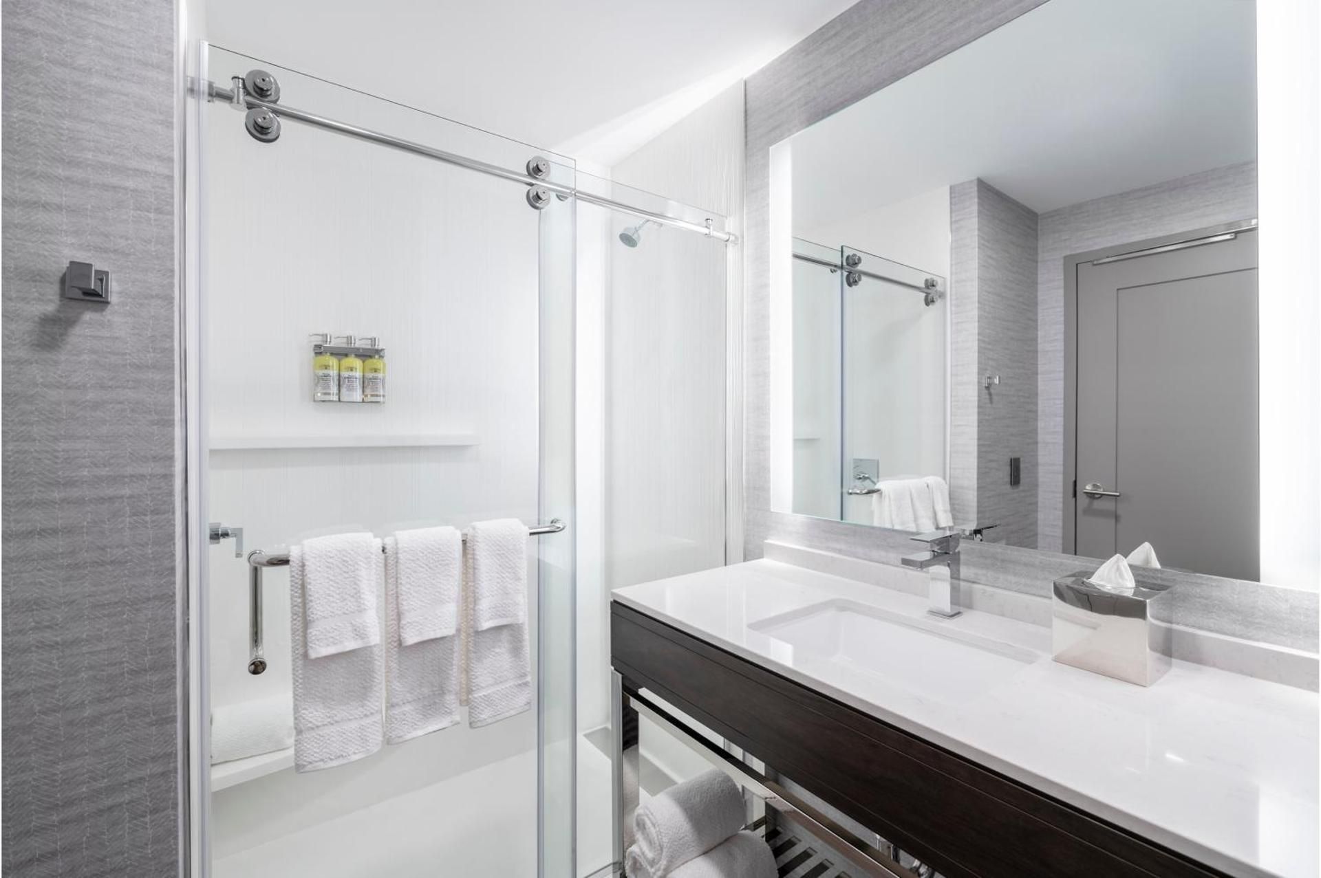 1 King Studio Suite Partial Water View