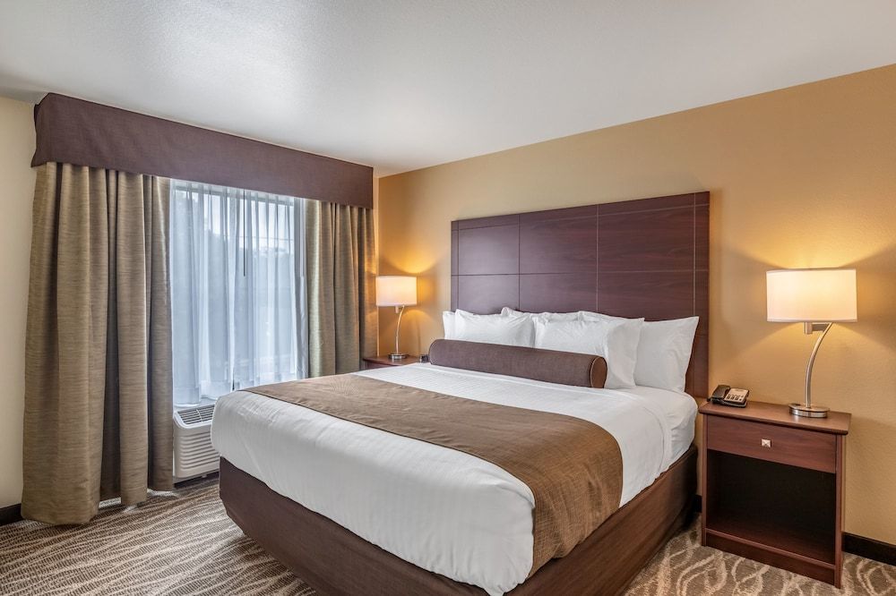 Cobblestone Inn & Suites - Fairfield Bay Room, 1 King Bed, Accessible, Non Smoking