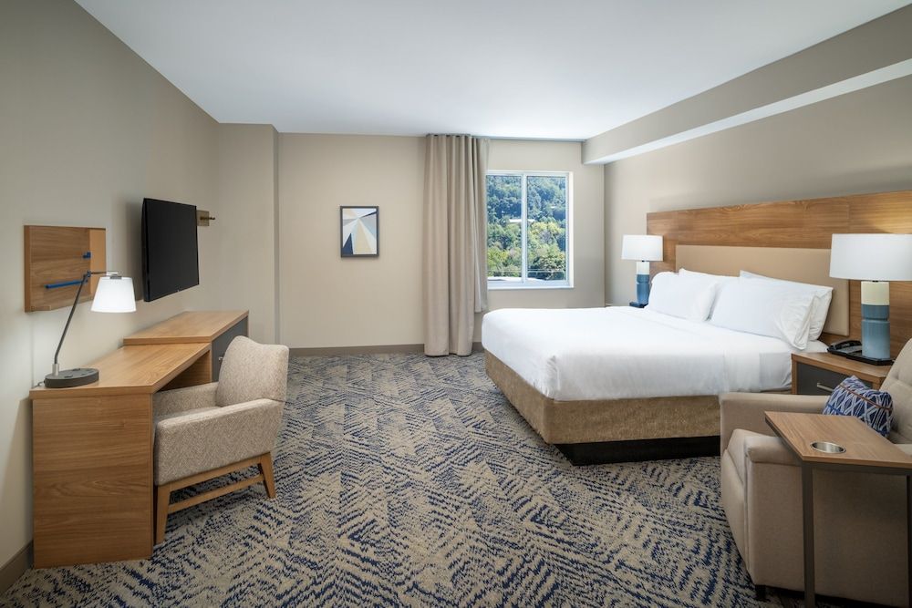 Studio Suite, 1 King Bed, Mountain View