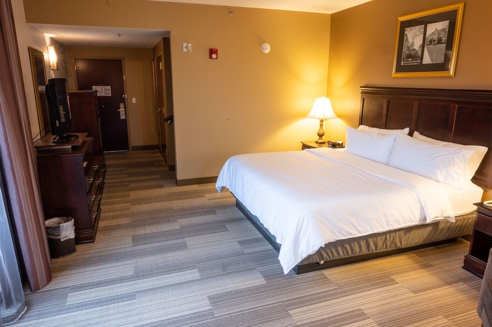 Room, 1 King Bed, Roll-in Shower, Non Smoking (Communications Accessible)