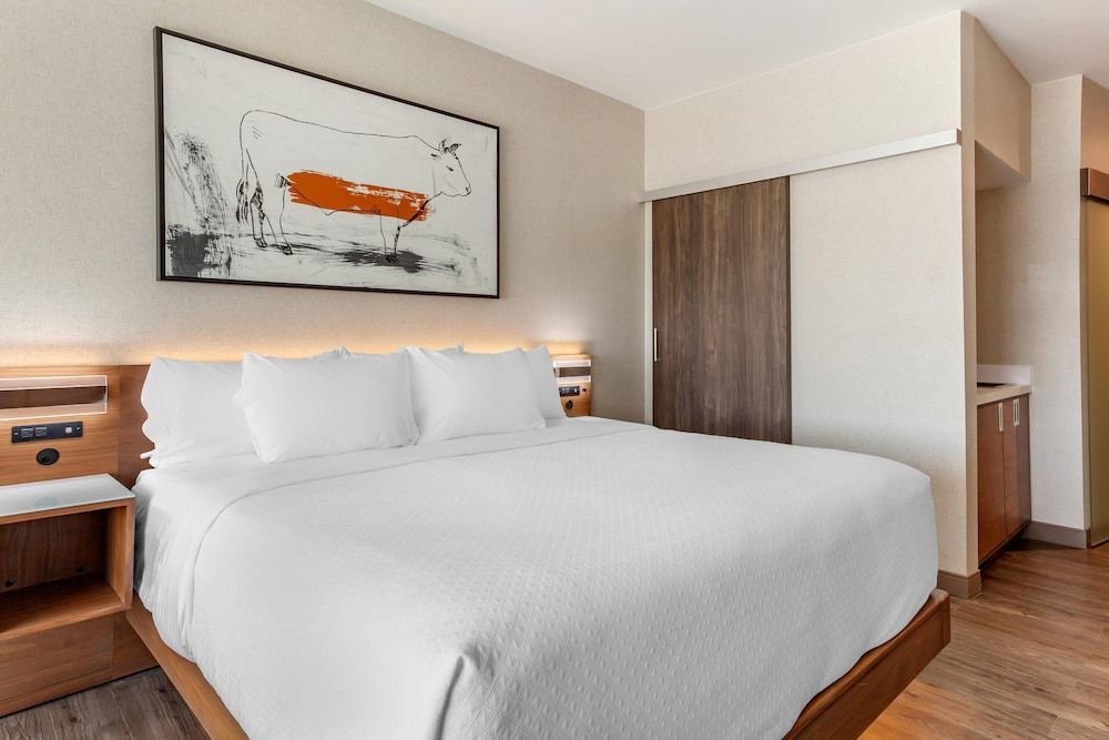 Cambria Hotel Richardson - Dallas Suite, 1 King Bed, Non Smoking 3