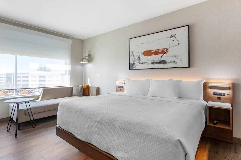 Cambria Hotel Richardson - Dallas Suite, 1 King Bed, Non Smoking