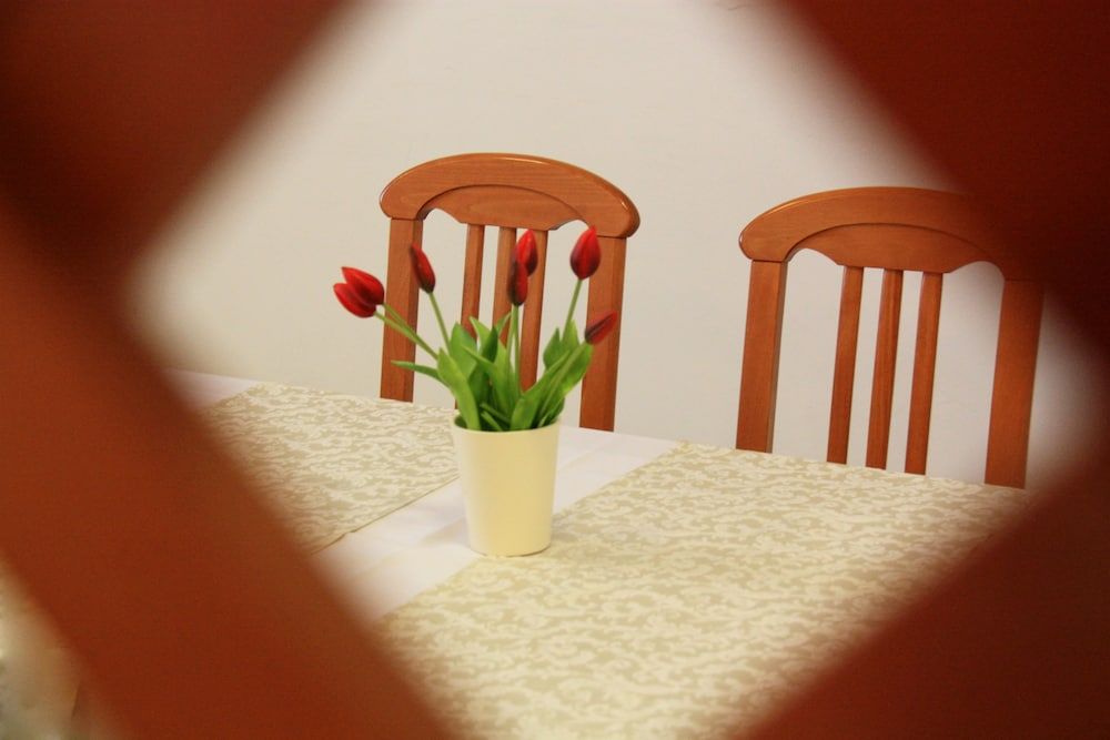 undefined HoSTel Dujam 8