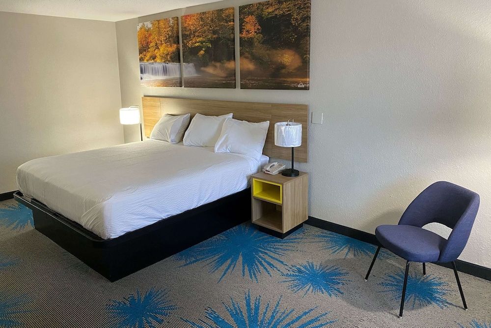 Room, 1 King Bed, Accessible, Non Smoking (Mobility,roll-in shower)