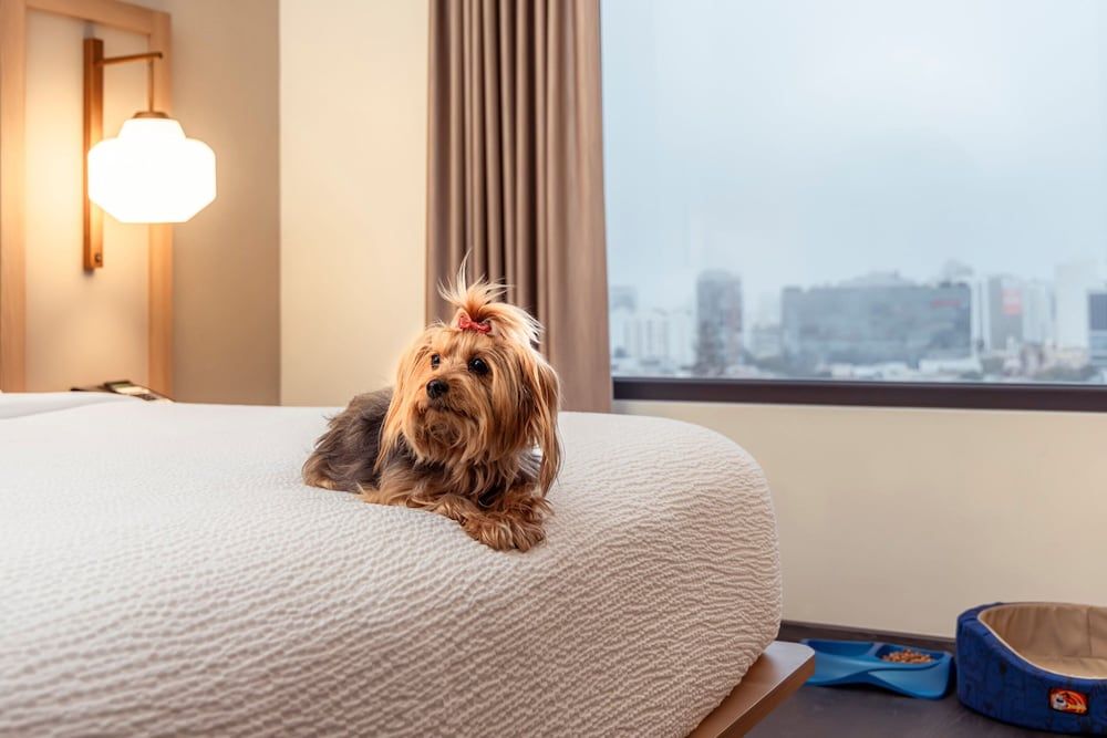 undefined Fairfield by Marriott Lima Miraflores 10