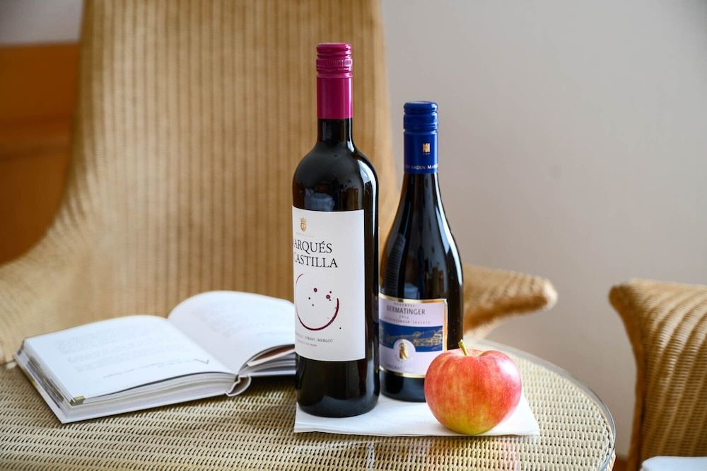 Ringhotel Krone Schnetzenhausen Double Room 5