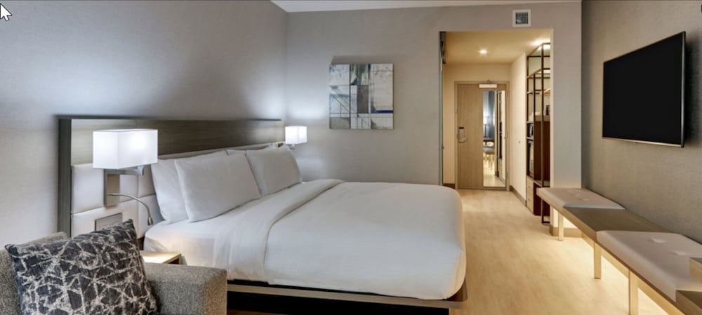 Room, 1 King Bed with Sofa bed