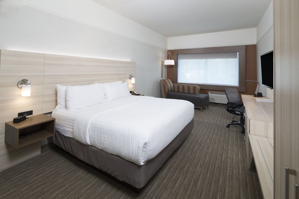 Standard Room, 1 King Bed, Accessible Bathtub (Mobility)
