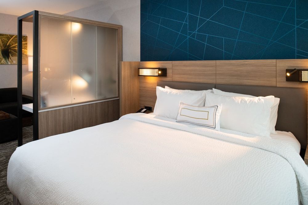 Suite, 1 King Bed (Mobility/Hearing Access, Roll-In Shwr)