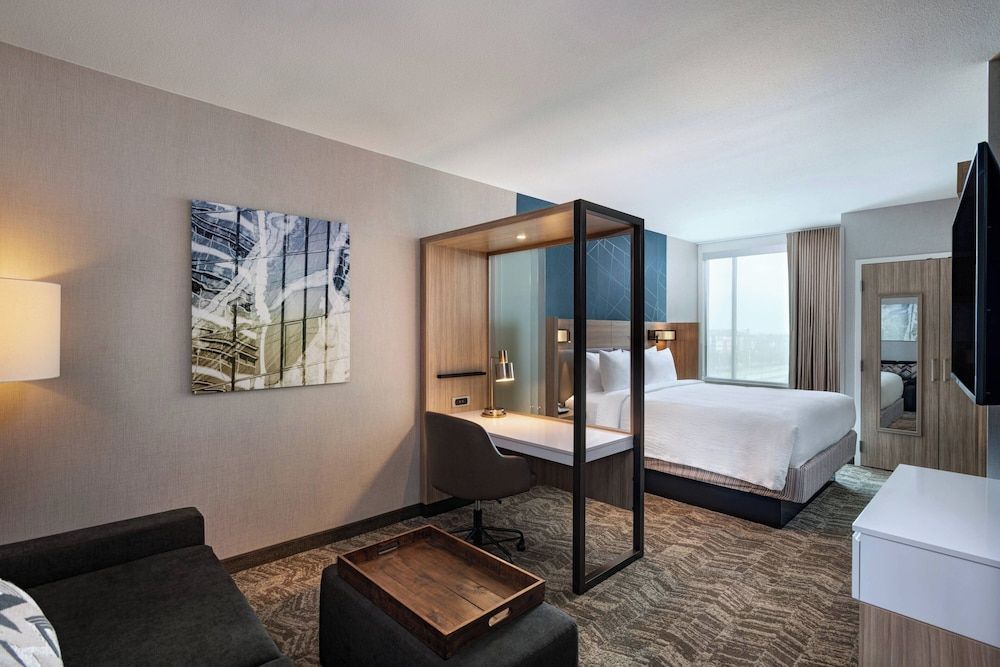 Suite, 1 King Bed with Sofa bed (Hearing Accessible)