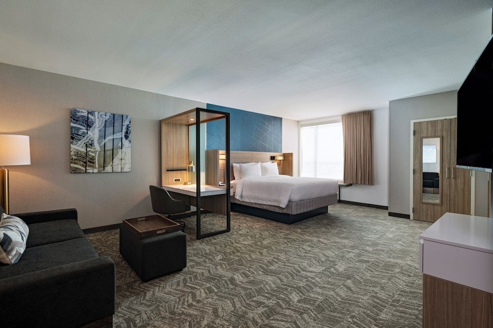 Suite, 1 King Bed with Sofa bed (Mobility Accessible, Roll-In Shower)