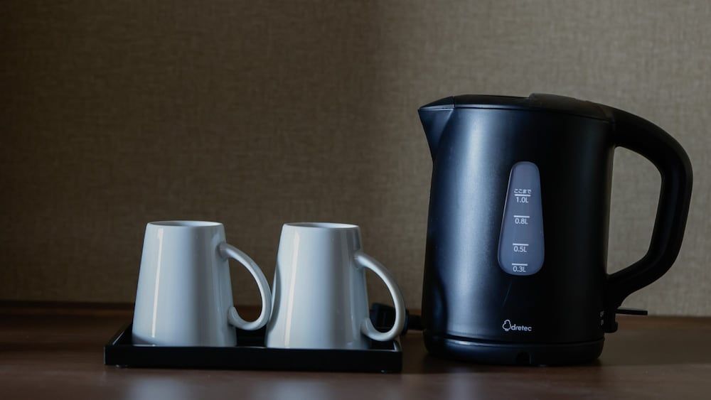 Dormy Inn Kobe Motomachi Natural Hot Springs Queen Room 8