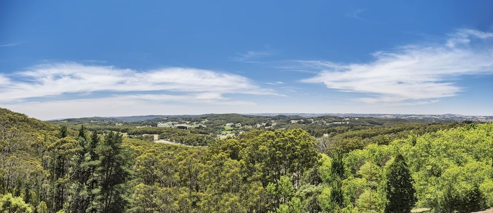 Sequoia Lodge - Adults Only Luxury Room, 1 King Bed, Fireplace, Valley View 8