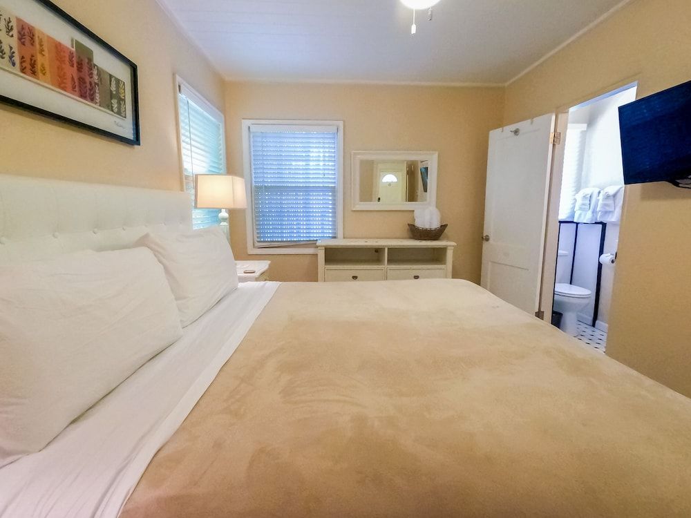 Suite, 1 King Bed with Sofa bed