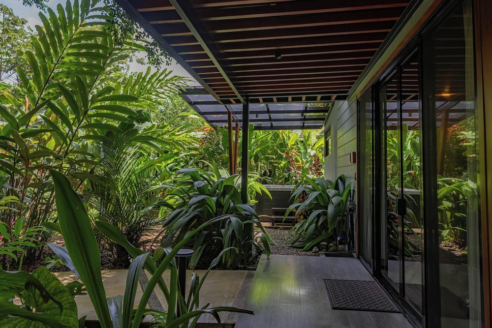 undefined Noah's Forest by Tifakara 2