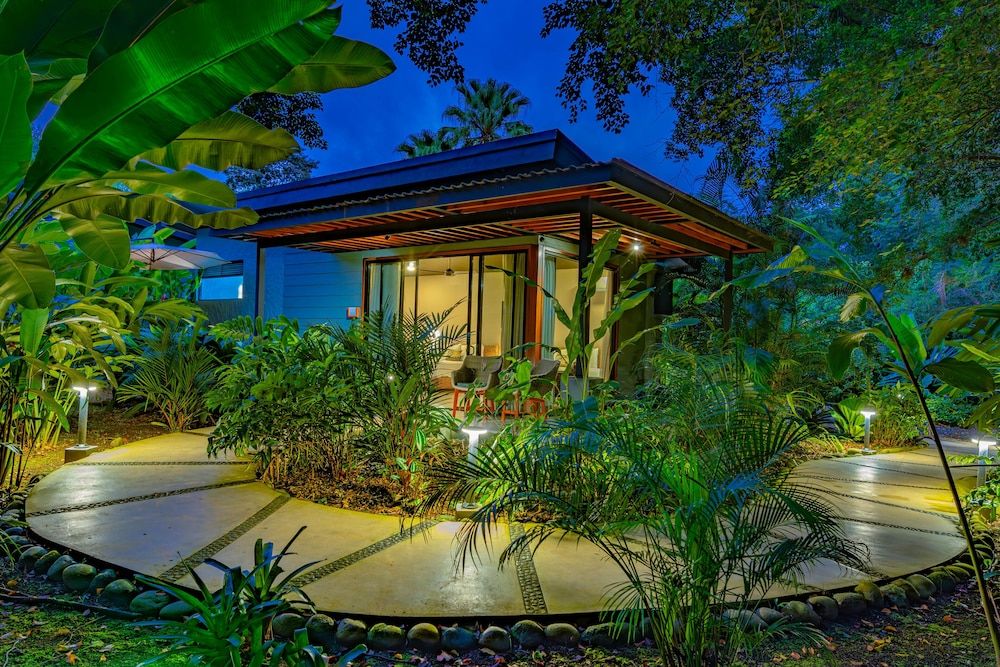 undefined Noah's Forest by Tifakara 9