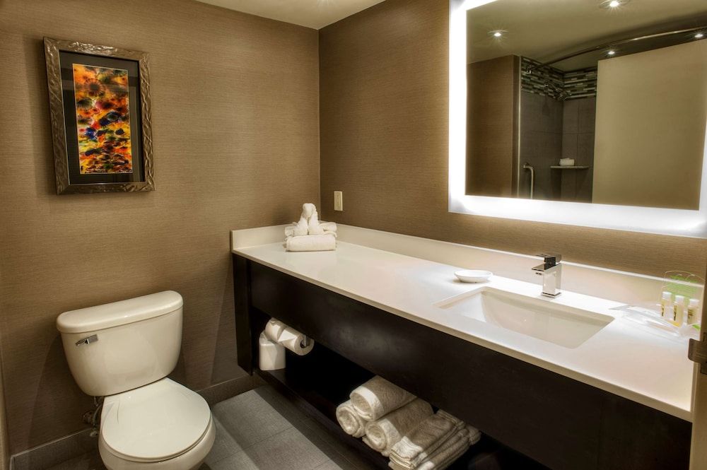 Standard Room, 1 King Bed, Non Smoking, Refrigerator & Microwave (Communication Assistance)