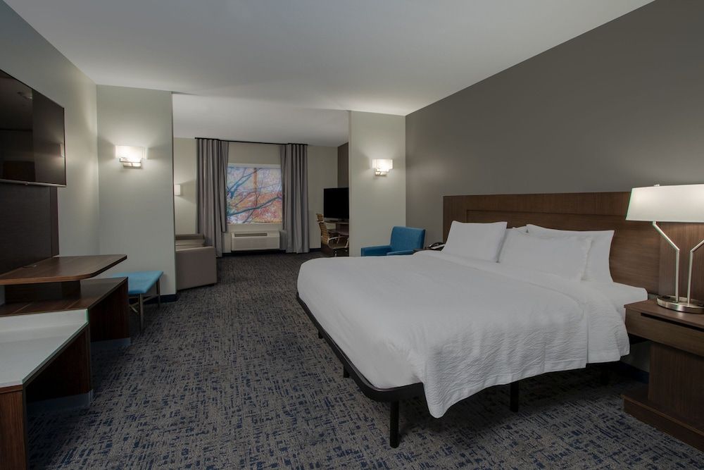 Suite, 1 King Bed with Sofa bed