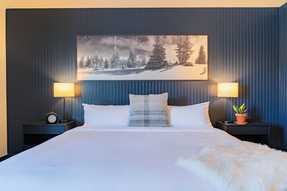 Gravity Haus Winter Park Rambler: King 2