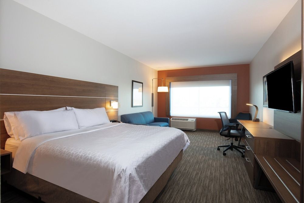 Suite, 1 King Bed with Sofa bed