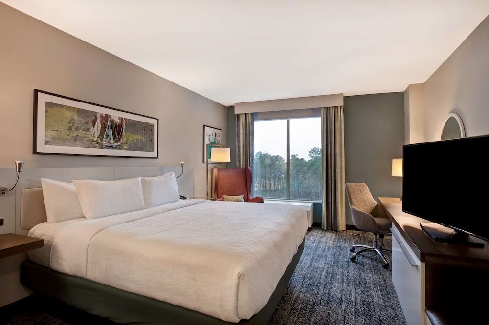 Room, 1 King Bed