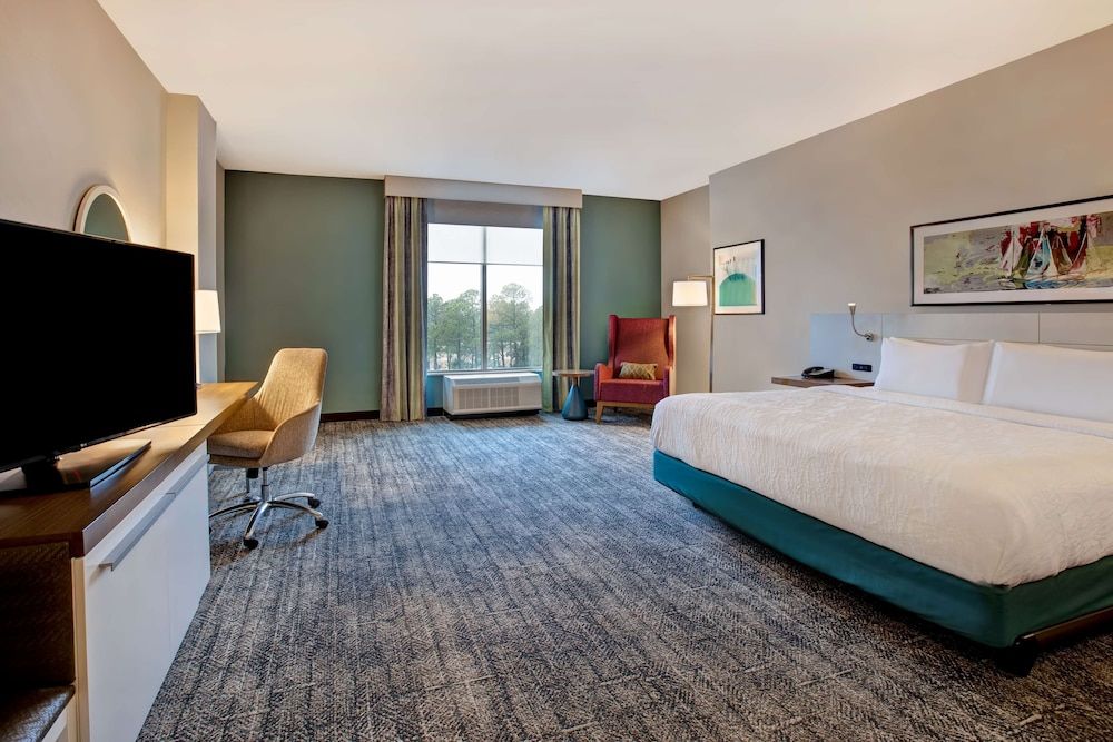 Room, 1 King Bed, Accessible (Roll-In Shower)