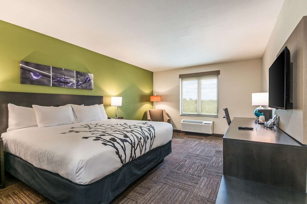 Sleep Inn Baxley Standard Room, 1 King Bed, Non Smoking