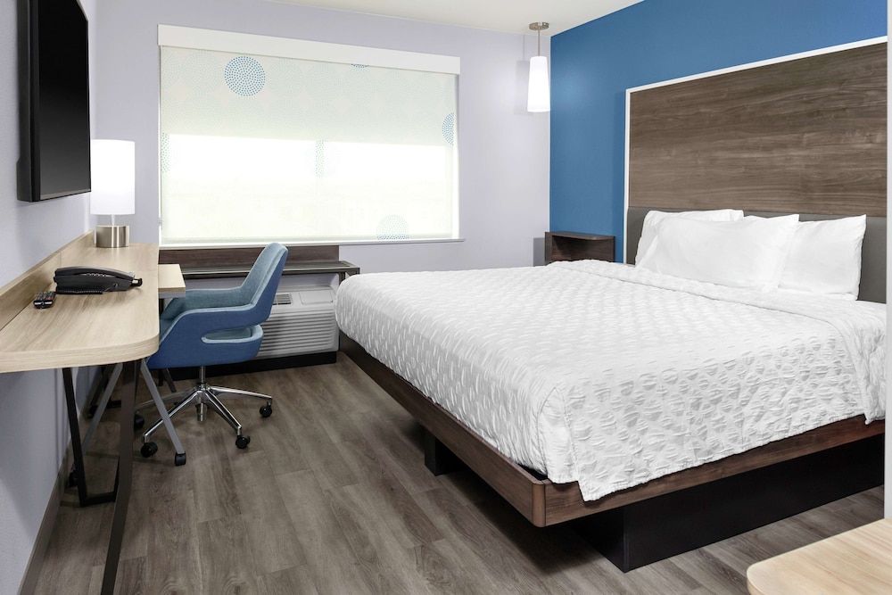 Room, 1 King Bed