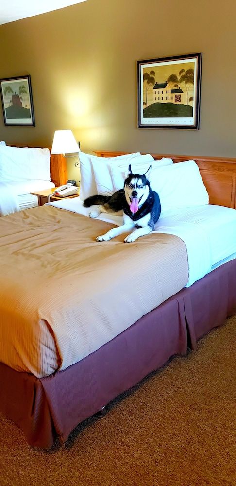 Lodging on the Square Standard Room, 2 Queen Beds, Non Smoking (Pet friendly) 9