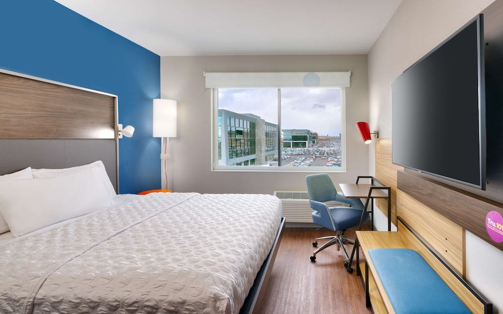 Room, 1 King Bed