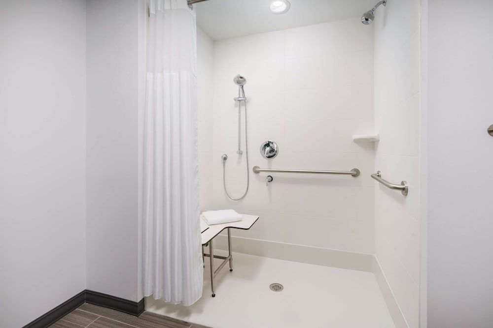 Room, 1 King Bed, Accessible (Roll-In Shower)