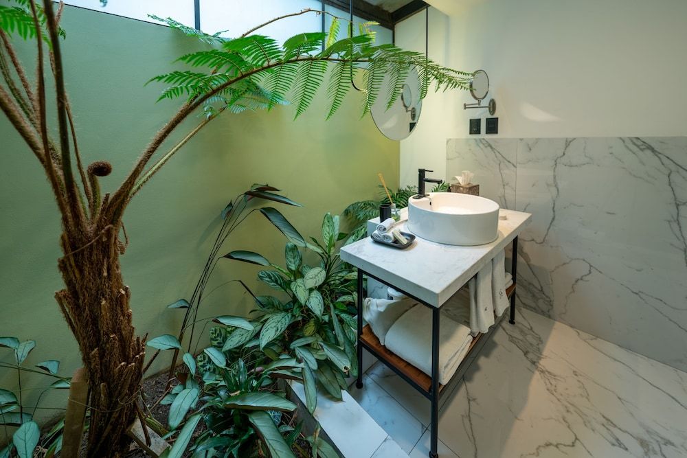 Orchid House Polanco Standard Room, 1 Queen Bed 115