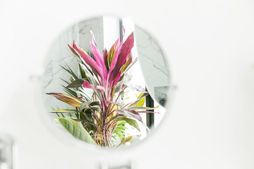 undefined Orchid House Mexico City 10