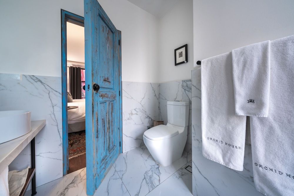 Orchid House Mexico City Deluxe Room, 1 King Bed 23