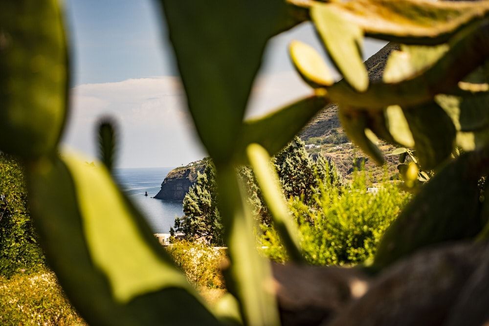 Hotel Signum Suite 6