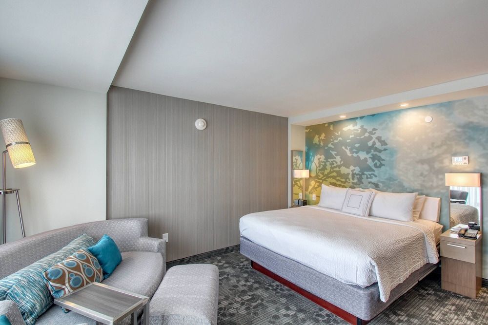 Room, 1 King Bed with Sofa bed, Non Smoking (Mobility Accessible, Tub)