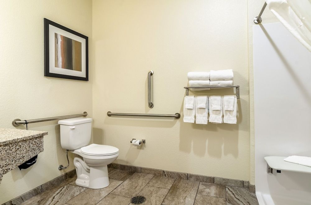 Suite, 1 King Bed with Sofa Bed, Accessible Roll in Shower, Non Smoking (Extended Stay)