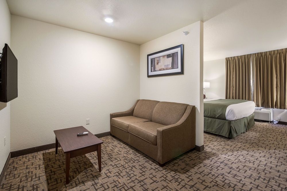 Studio, 1 King Bed with Sofa Bed, Audible/Visual Adapted, Non Smoking