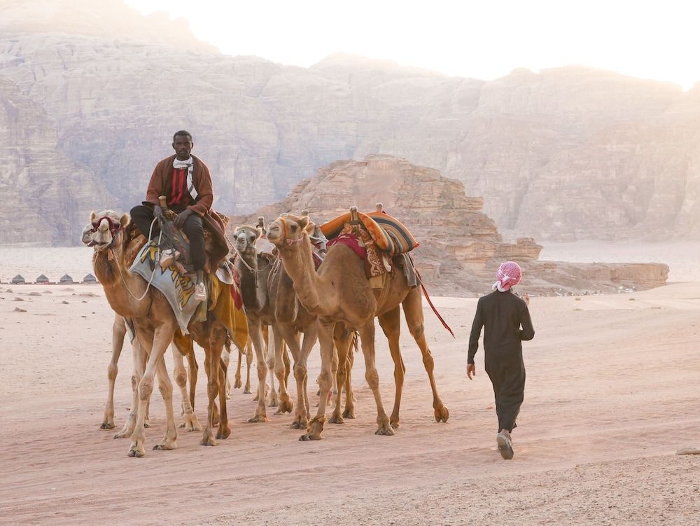 undefined Aladdin Camp 10