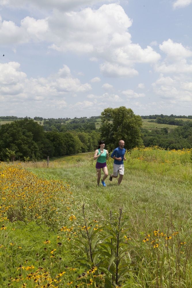 Land View from Property