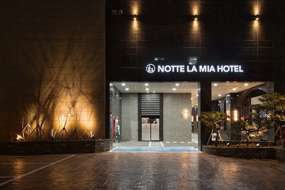 undefined Notte La Mia 7
