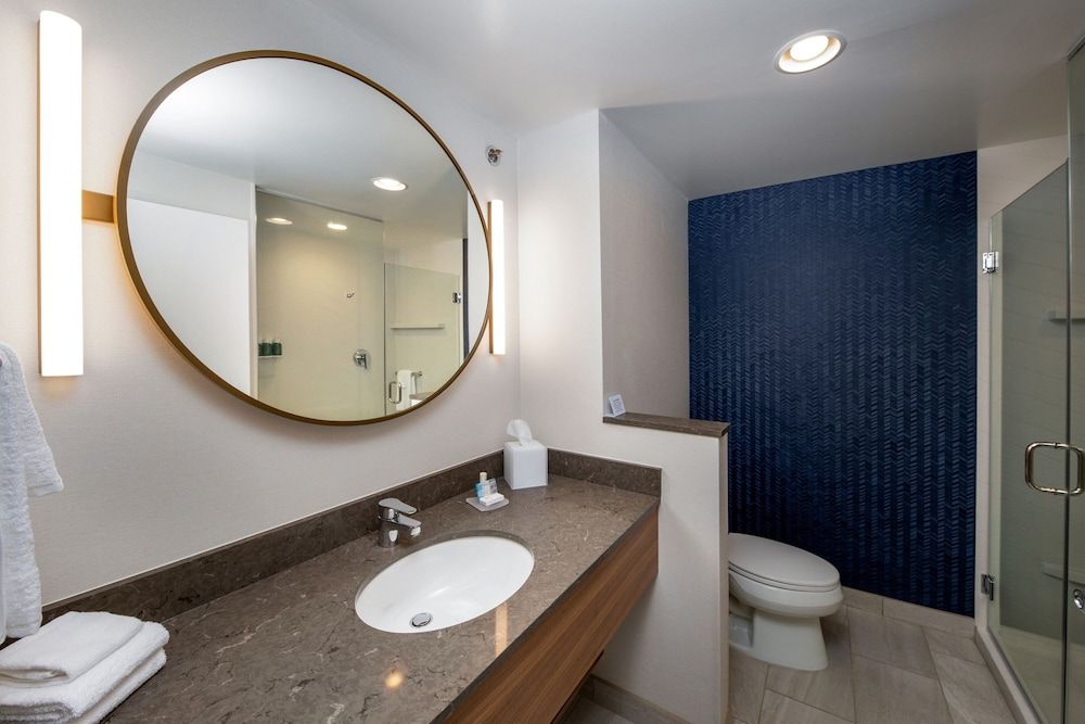 Suite, 1 King Bed with Sofa bed, Non Smoking (Mobility/Hearing Access, Roll-In Shwr)
