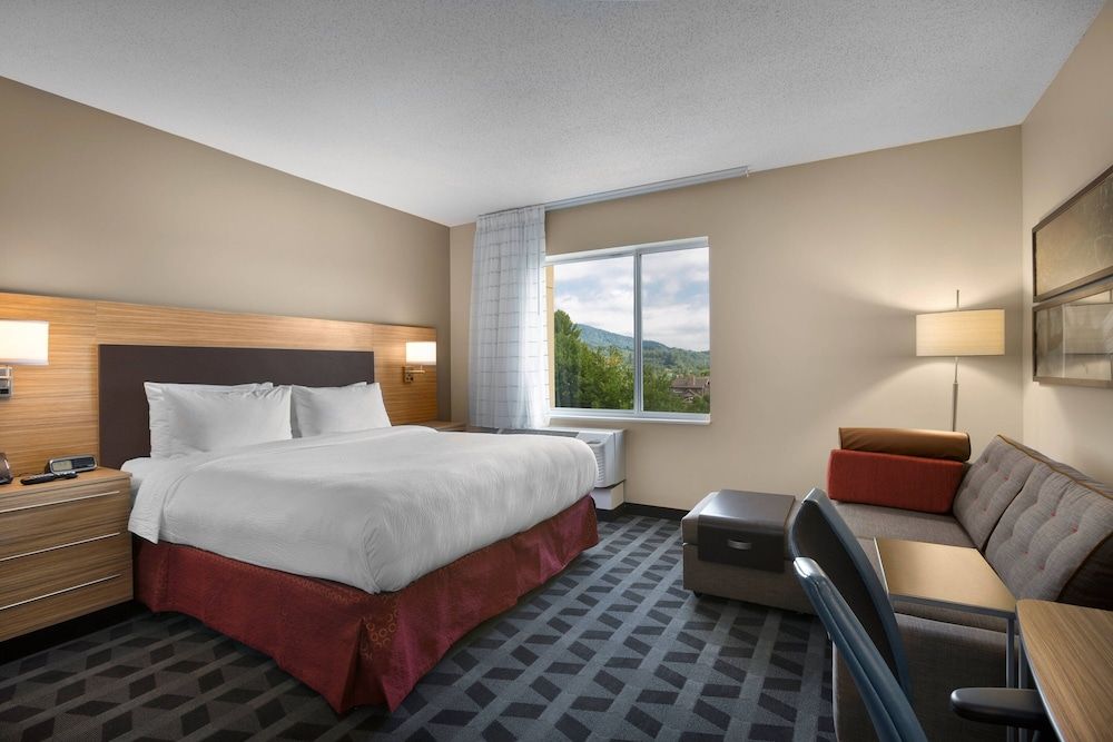 Studio, 1 King Bed with Sofa bed, Non Smoking, Mountain View
