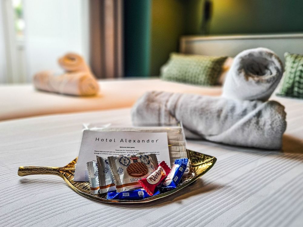 undefined Hotel Alexander 9