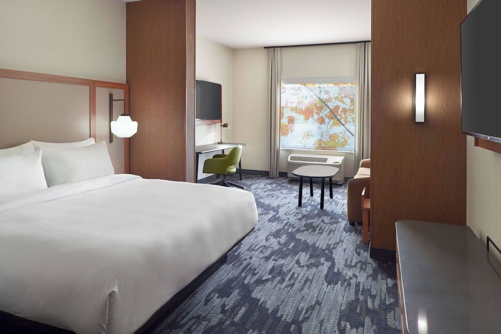 Suite, 1 King Bed with Sofa bed