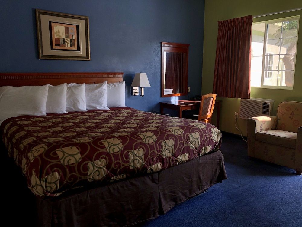 Encore Motel Near Marina Del Rey, Culver City & Venice Standard Single Room 11